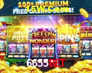 6655Bet - User Statistics